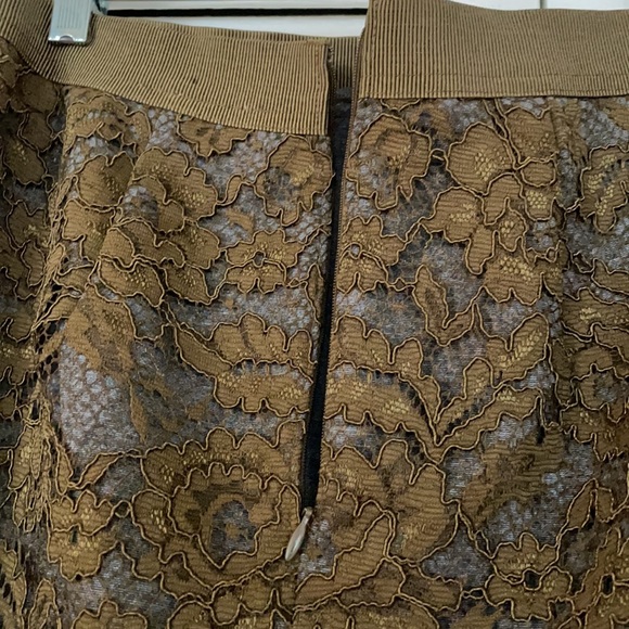 Pencil very sexy mesh skirt with lining from LOFT. - Picture 7 of 9